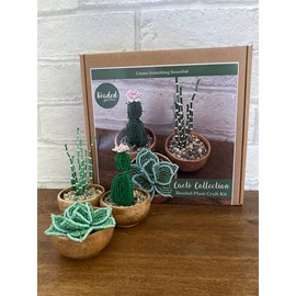 Kit de bricolage cactus  