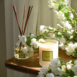 Bougie parfumée verveine