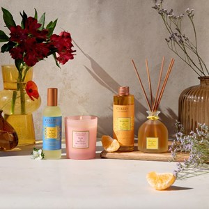 Recharge bouquet mandarine & yuzu