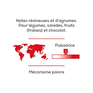 Poivre voatsiperifery madagascar 55g