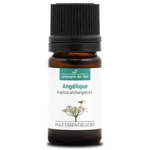 Angélique (angelica archangelica) - huil