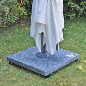 Pied de parasol platinia