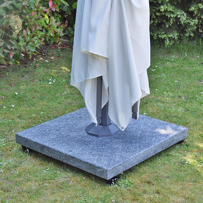 Pied de parasol platinia