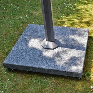 Pied de parasol platinia