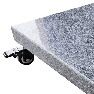 Pied de parasol platinia