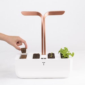 Kit de semis express