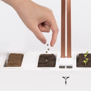 Kit de semis express