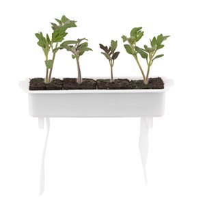 Paniers semis - kit de 2