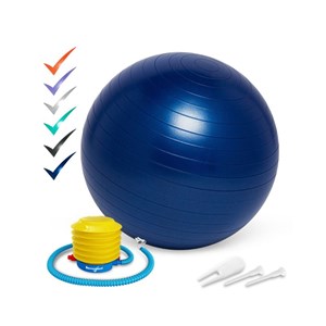Swiss ball 65cm - assise dynamique