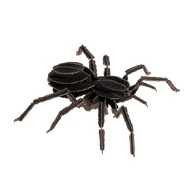 Maquette 3d en papier tarentule