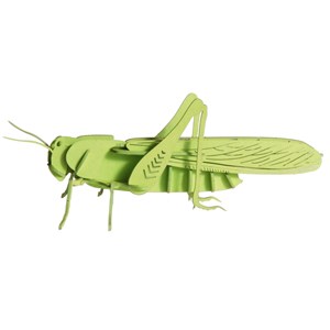 Maquette 3d en papier sauterelle