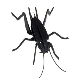 Maquette 3d en papier cricket