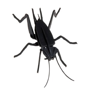 Maquette 3d en papier cricket