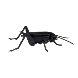 Maquette 3d en papier cricket