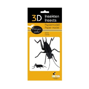 Maquette 3d en papier cricket