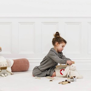 Mallette de vétérinaire et ses accesso