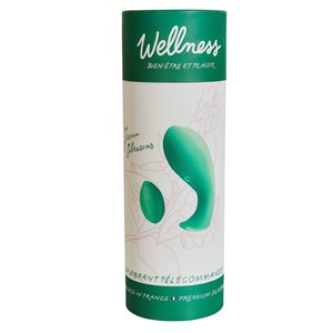 Oeuf vibrant télécommandé - sextoy