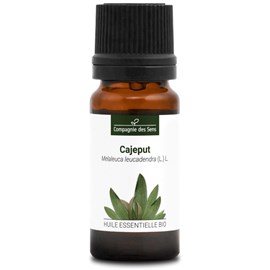 Cajeput (melaleuca leucadendra) - huile essentielle bio - 10ml garantie chromace