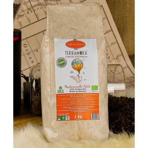 Cafe bio grains mexique bresil 1kg