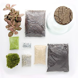 Terrarium octave junior en kit DIY