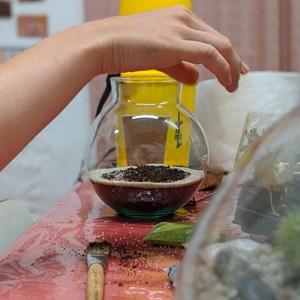 Terrarium octave junior en kit DIY