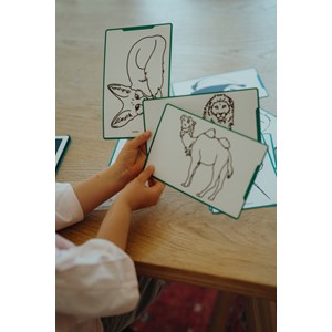 Kidydraw-mini tablette à dessin 30 animaux autour du monde