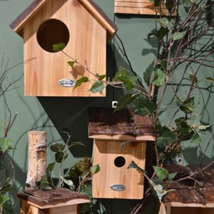 Nichoir en bois x 1