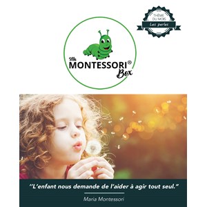 Mamontessoribox perles à compter