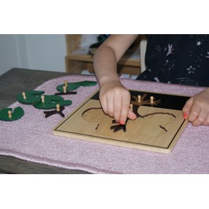 Mamontessoribox puzzle botanique arbre