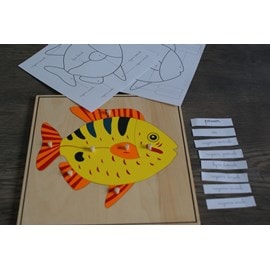 Mamontessoribox puzzle zoologie poisson