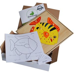 Mamontessoribox puzzle zoologie poisson