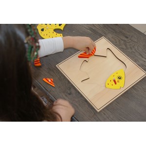 Mamontessoribox puzzle zoologie poisson