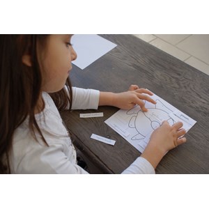 Mamontessoribox puzzle zoologie poisson