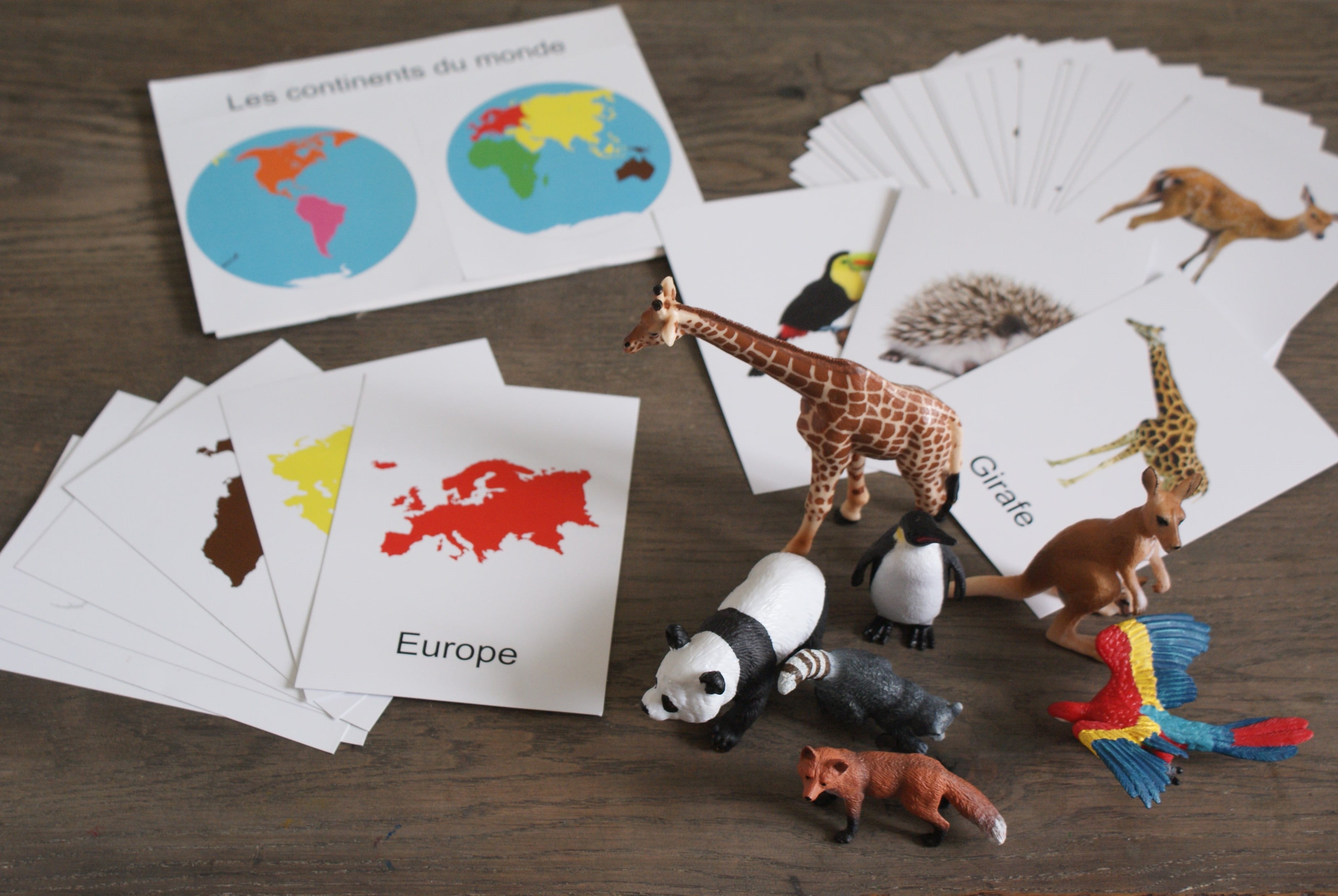 Boite des animaux par continent - Montessori Spirit