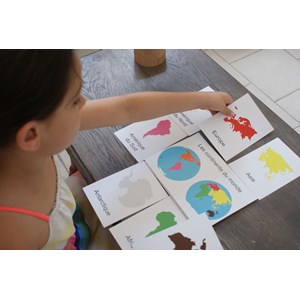 Mamontessoribox animaux du monde