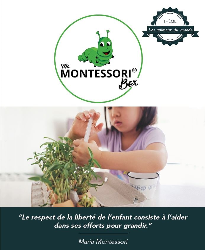 Animaux du Monde Montessori - MaMontessoriBox