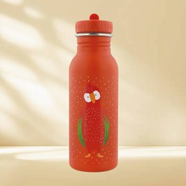 Gourde 500ml - mr. Parrot