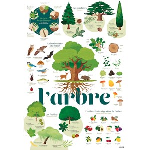 Poster en stickers arbre poppi