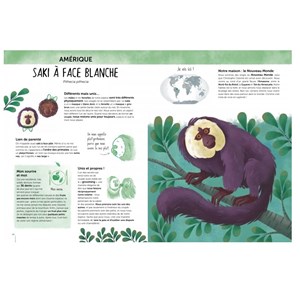 Atlas de la biodiversité - animaux inso