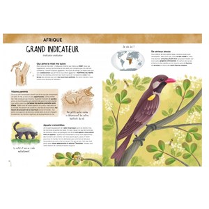 Atlas de la biodiversité - animaux inso