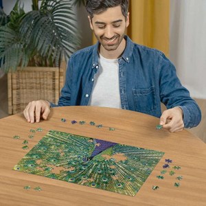 Puzzle paon 500 pièces