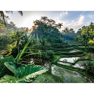 Puzzle au cœur de bali 2000 pcs