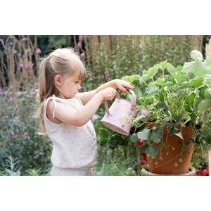 Arrosoir rose fairy garden