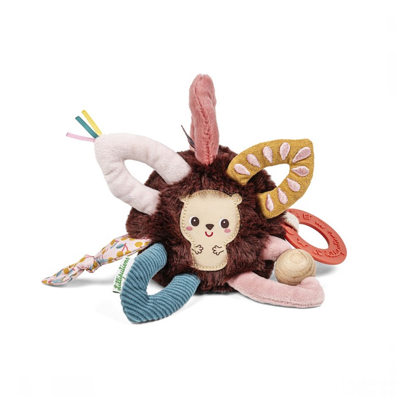 Leon anneaux sensoriel multi activites