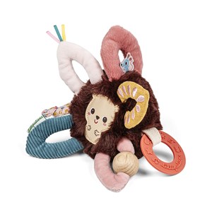 Leon anneaux sensoriel multi activites