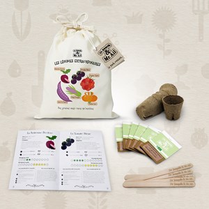 Kit - Les légumes extraordinaires