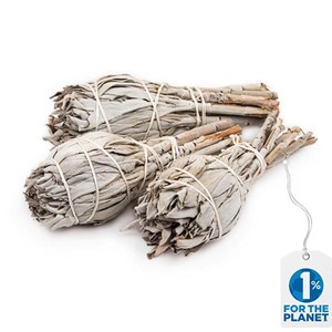 Sauge blanche - encens 3 torches 60 gr