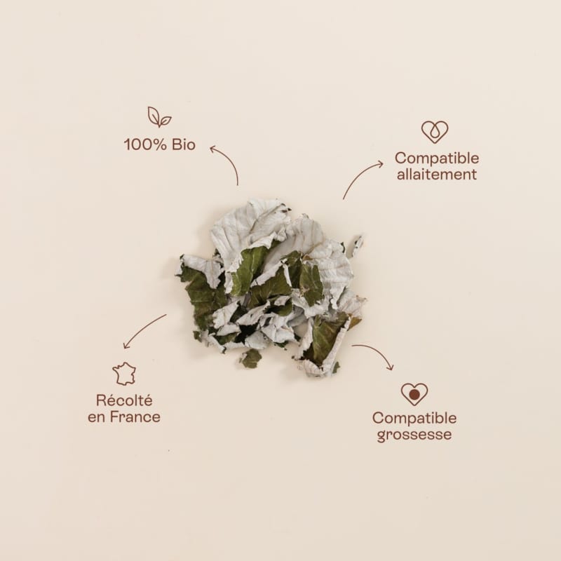 Ready mama - tisane framboisier (Jolly Mama) - Image 2