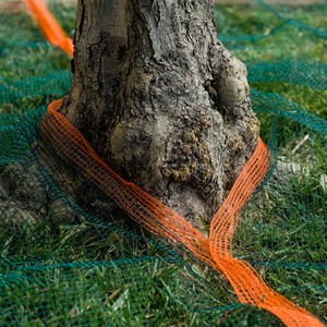 Filet de récolte olives ou autres - 6x6m