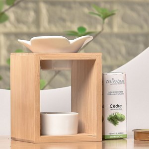 Brûle parfum naturéa pluméria
